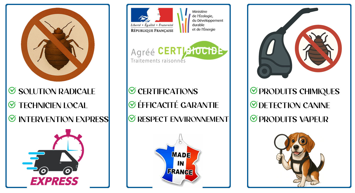 Punaises de Lit Villeparisis 77270